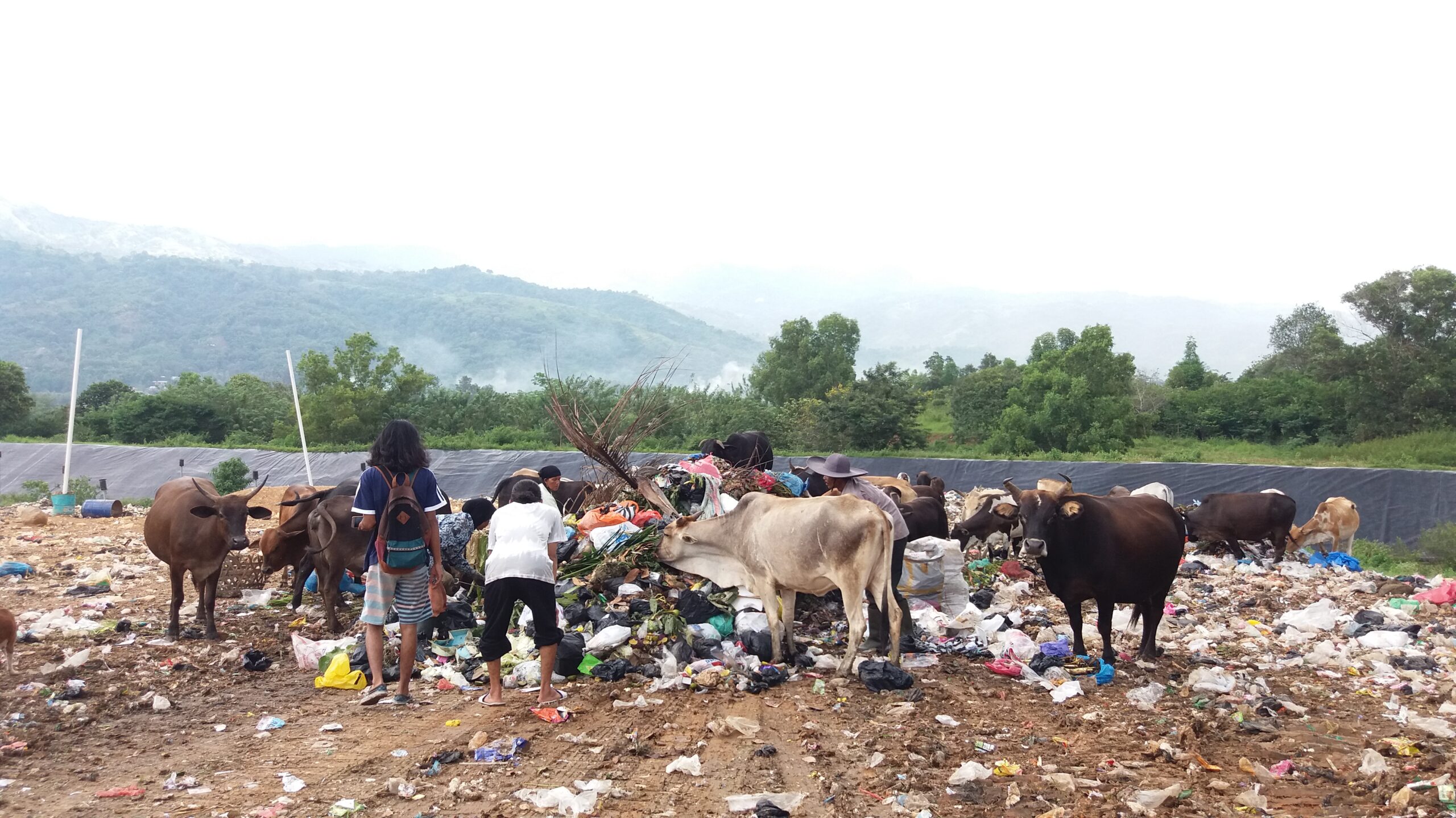 Timbangan Sampah