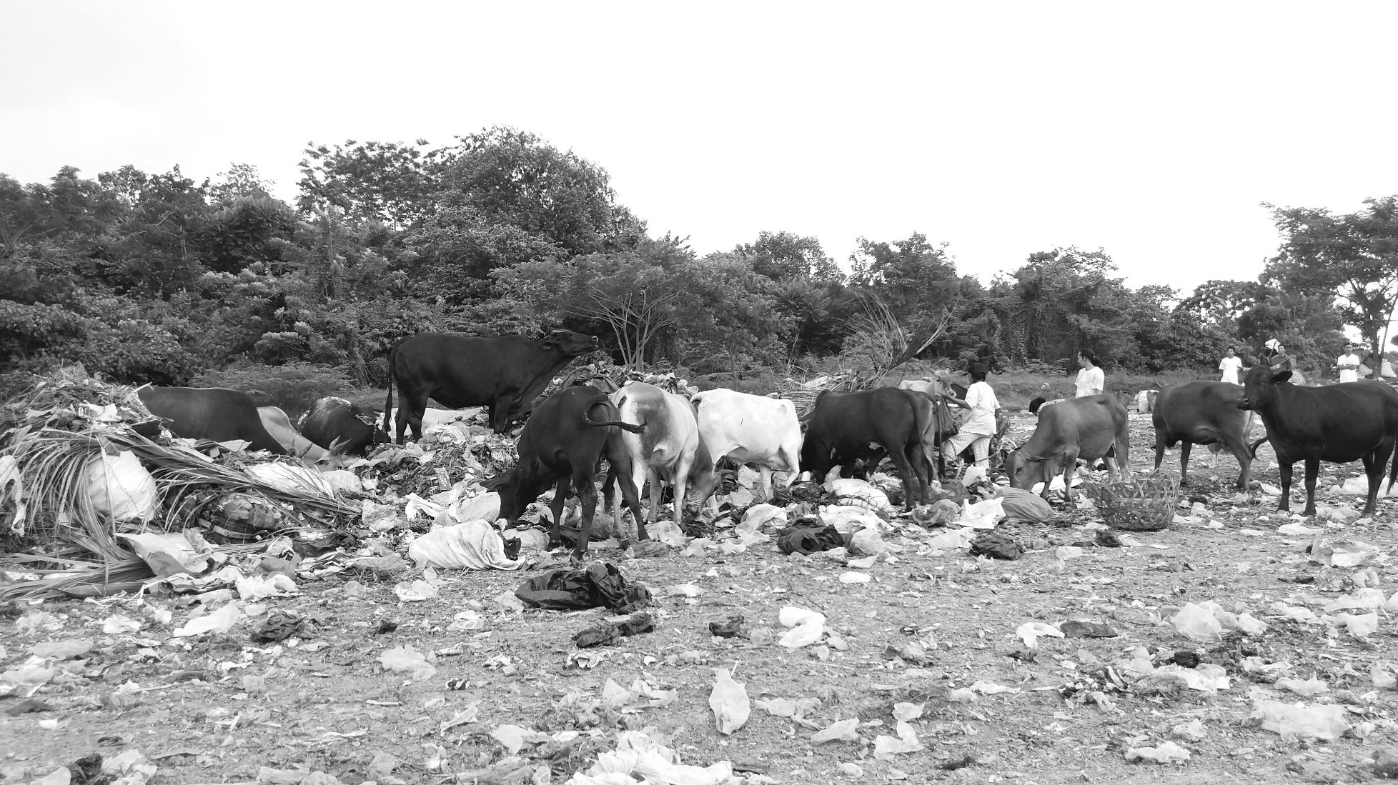 Kita, Sungai, dan Masa Depan