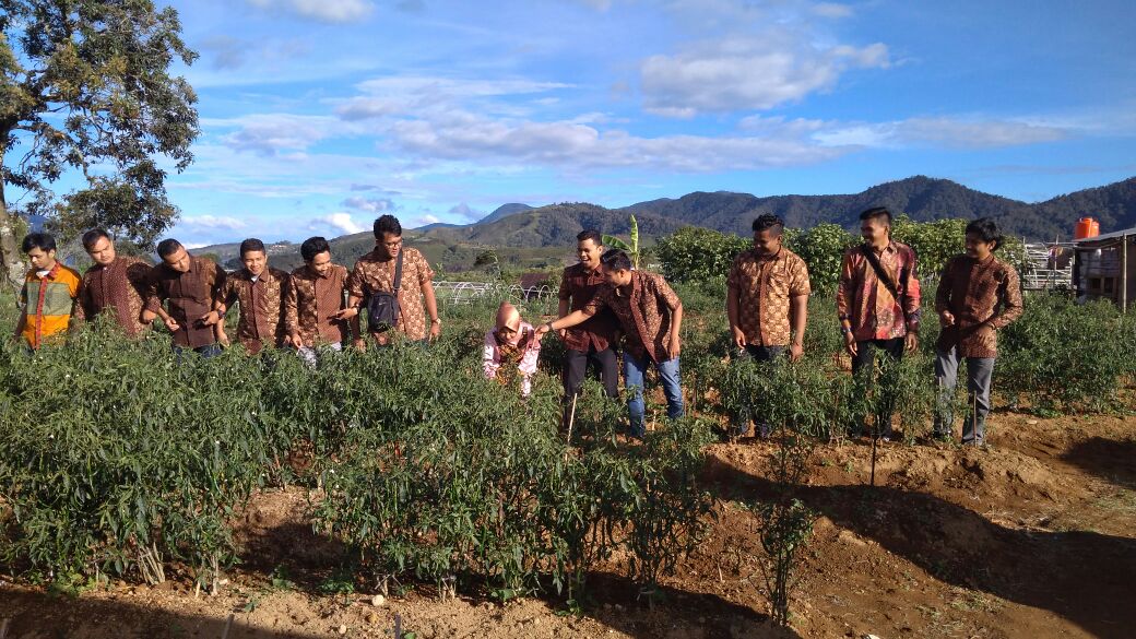 Kebun di Pesta Kawinan