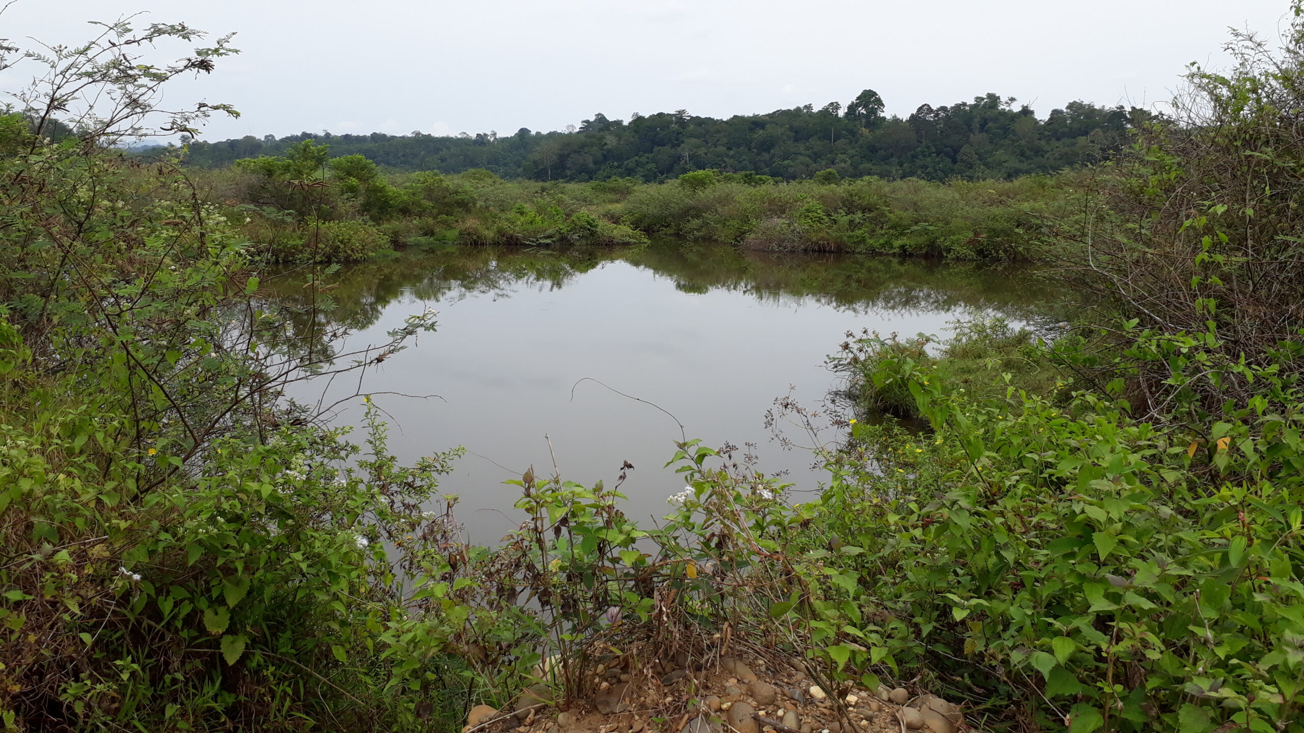 Lahan Mati dan Kolam Bekas Tambang