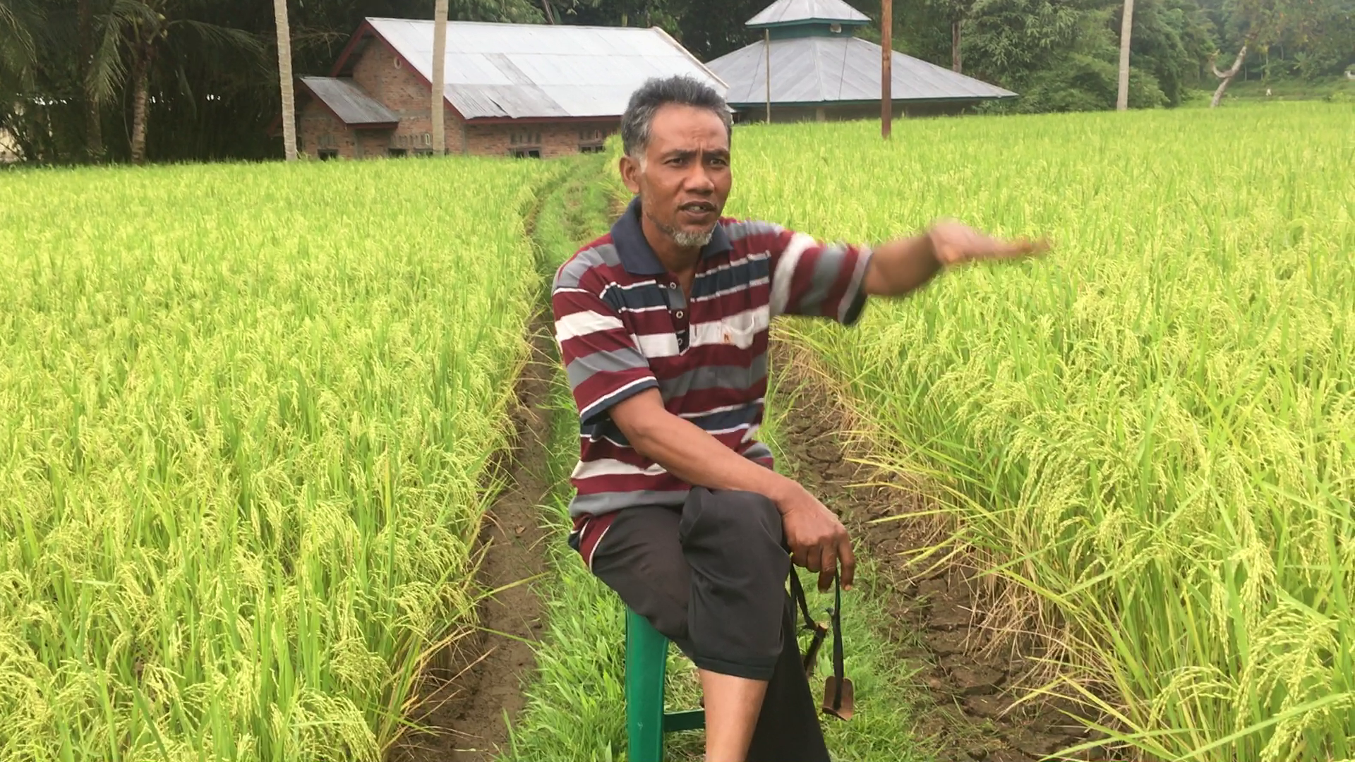 Kala Senja Bersama Mak Etek